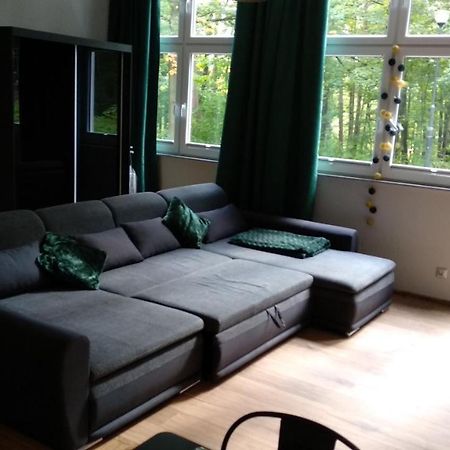Apartament 5 Przy Parku Lesnym Поляница-Здруй Экстерьер фото