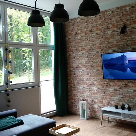 Apartament 5 Przy Parku Lesnym Поляница-Здруй Экстерьер фото