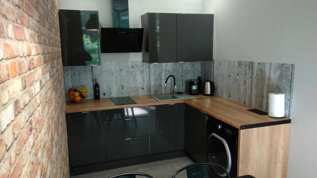 Apartament 5 Przy Parku Lesnym Поляница-Здруй Экстерьер фото
