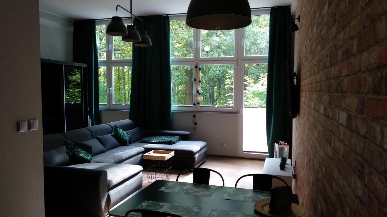 Apartament 5 Przy Parku Lesnym Поляница-Здруй Экстерьер фото