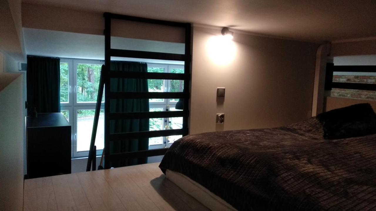 Apartament 5 Przy Parku Lesnym Поляница-Здруй Экстерьер фото